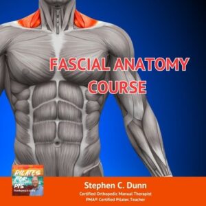 Fascial-Anatomy-Course
