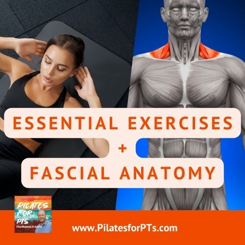 Essential Exercises Fascial Anatomy
