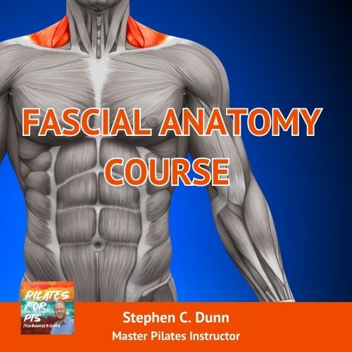 Fascial Anatomy Course